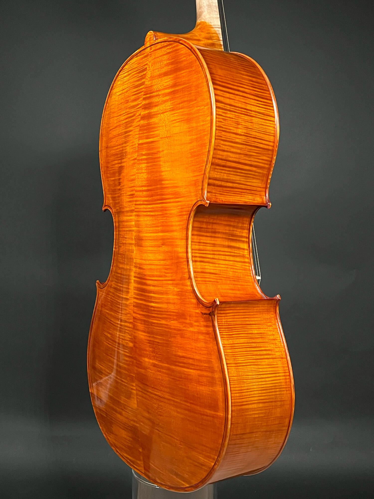 Reghino 5Saiter Cello (Violoncello) Piccolo kaufen Violin Musicstore