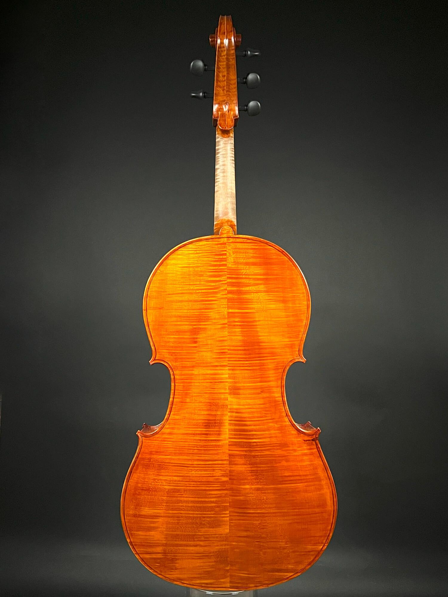 Reghino 5Saiter Cello (Violoncello) Piccolo kaufen Violin Musicstore