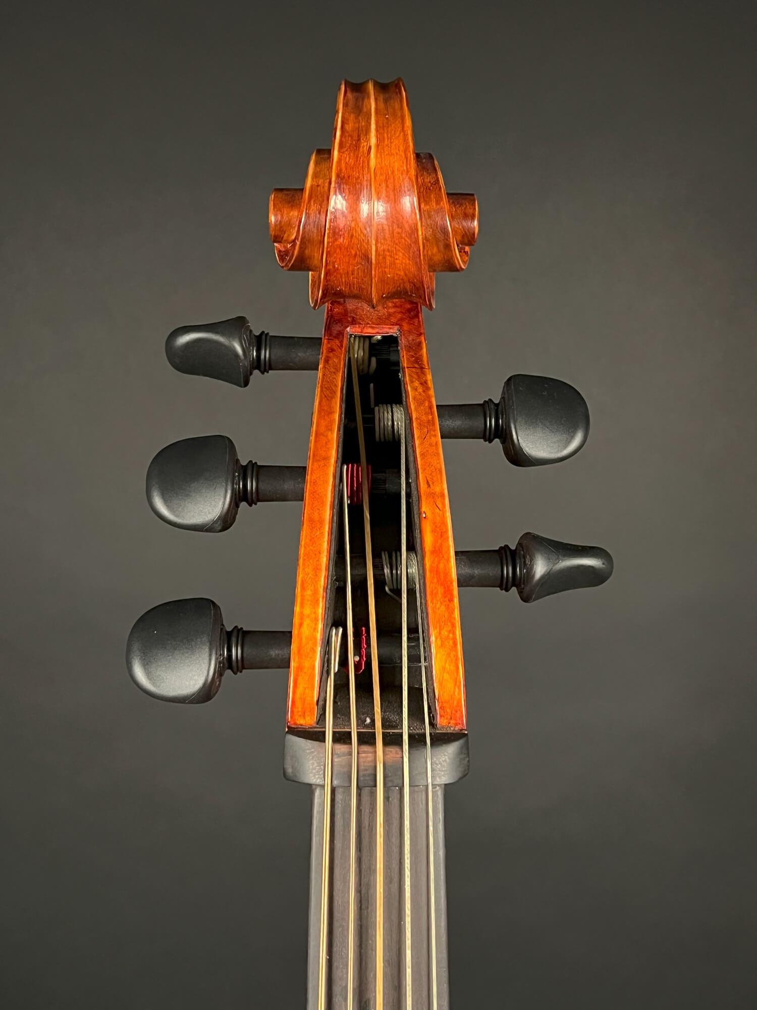 Reghino 5Saiter Cello (Violoncello) Piccolo kaufen Violin Musicstore