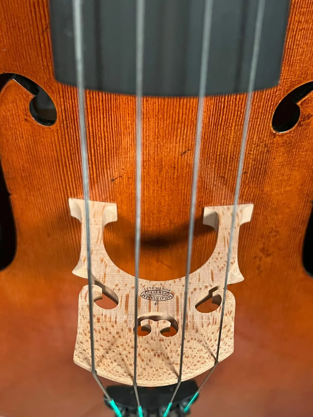 Steg-Ansicht eines Stoica Alin Meister Cello Handarbeit aus Siebenbürgen 2021