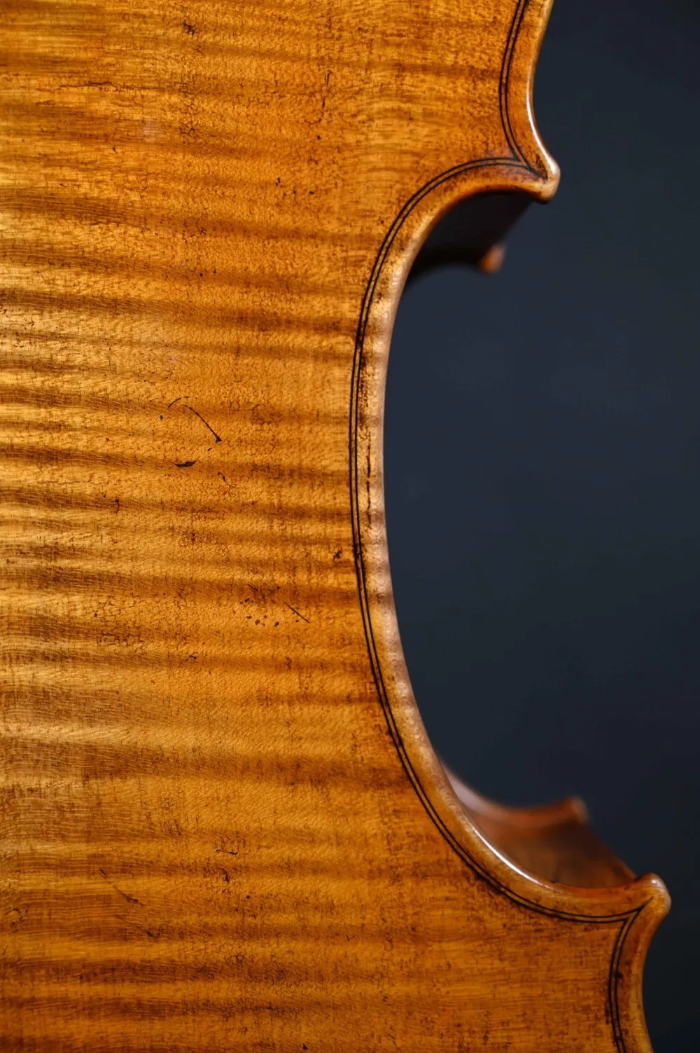 C-Kanteansicht-hinten eines Stoica Alin Meister Cello Handarbeit aus Siebenbürgen 2023