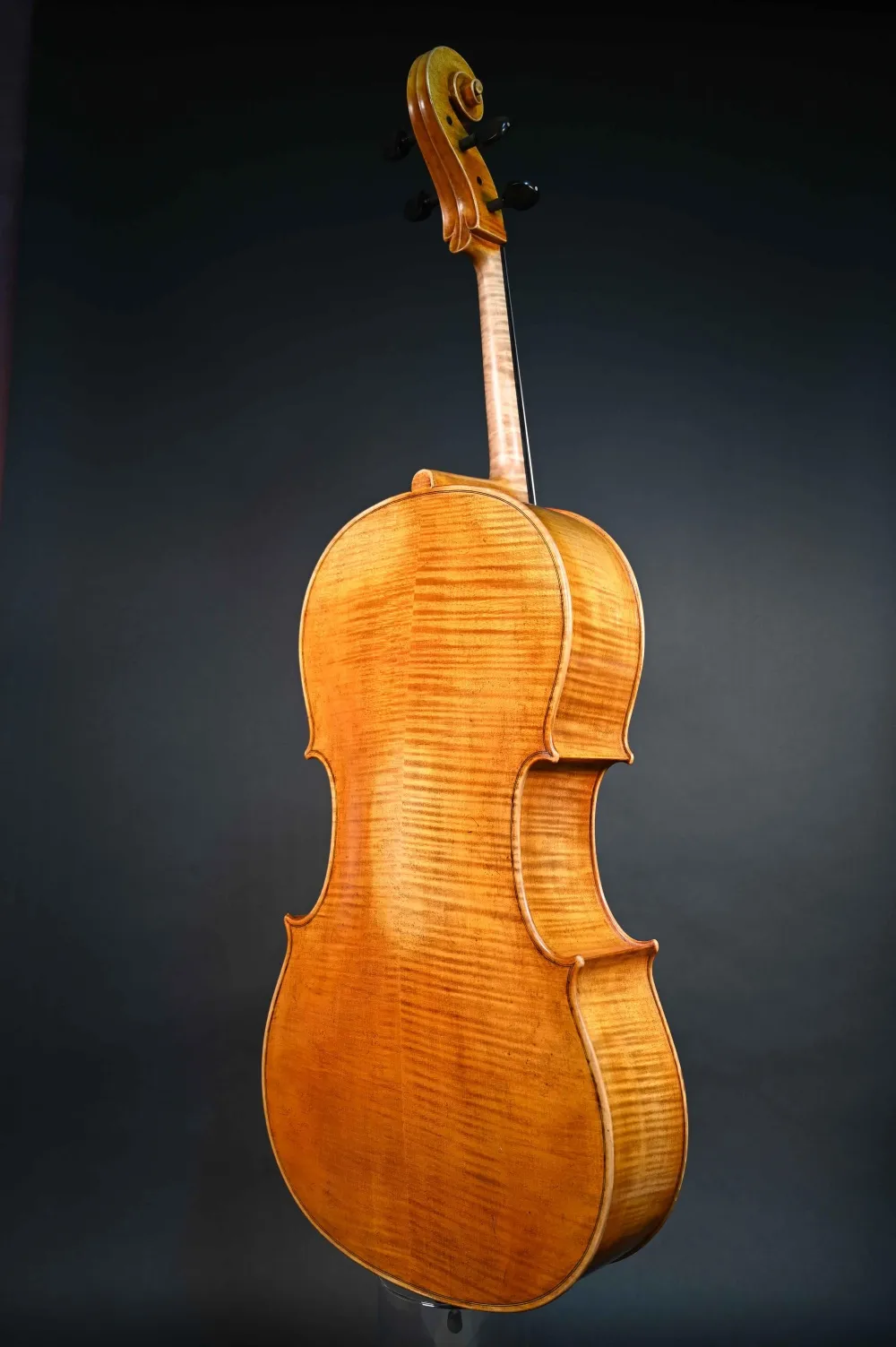 Rueck-Zargeansicht eines Stoica Alin Meister Cello Handarbeit aus Siebenbürgen 2023