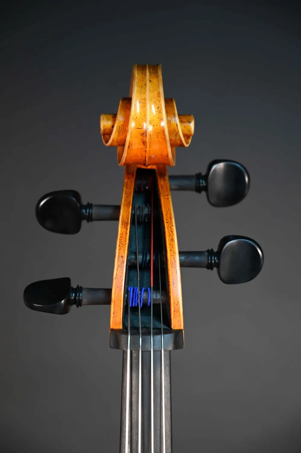 Schneckeansicht-vorne eines Stoica Alin Meister Cello Handarbeit aus Siebenbürgen 2023