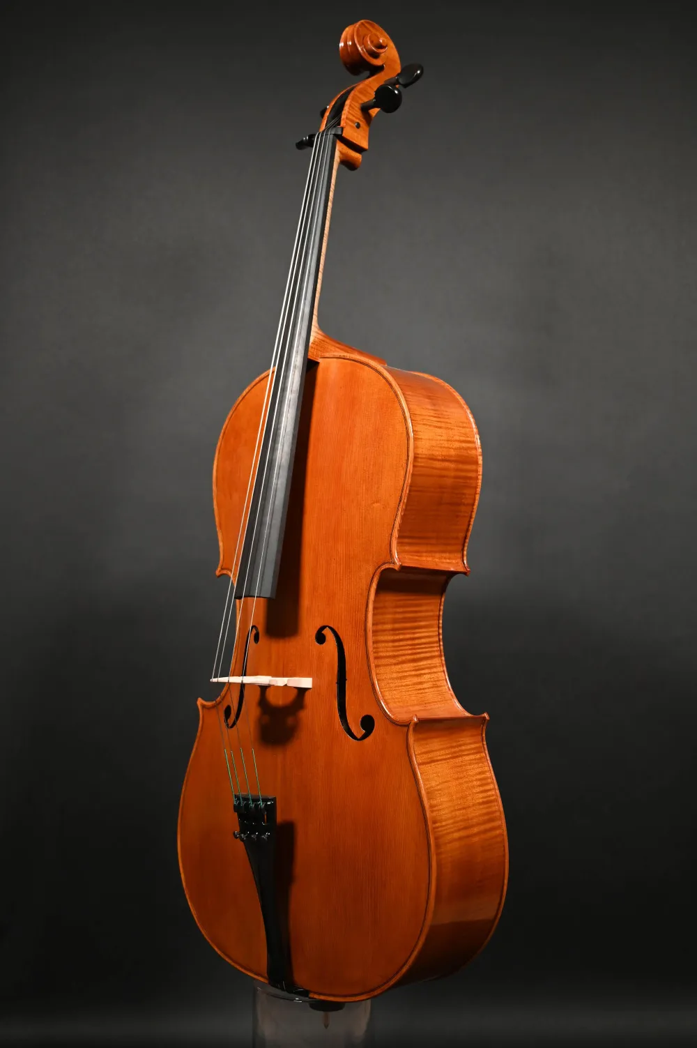Front- Sitenansicht eines Simon Paul 4/4 Meister Cello (Violoncello) nach Stradivarius, Handarbeit 2020