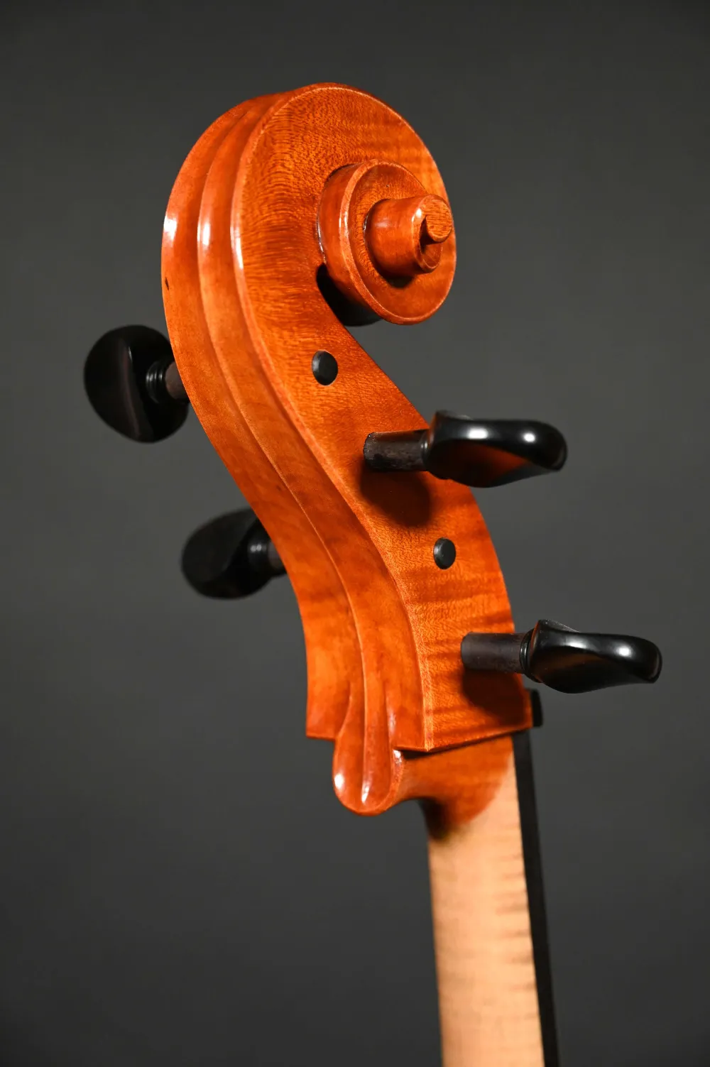 Schneckeansicht von hinten seitlich eines Simon Paul 4/4 Meister Cello (Violoncello) nach Stradivarius, Handarbeit 2020