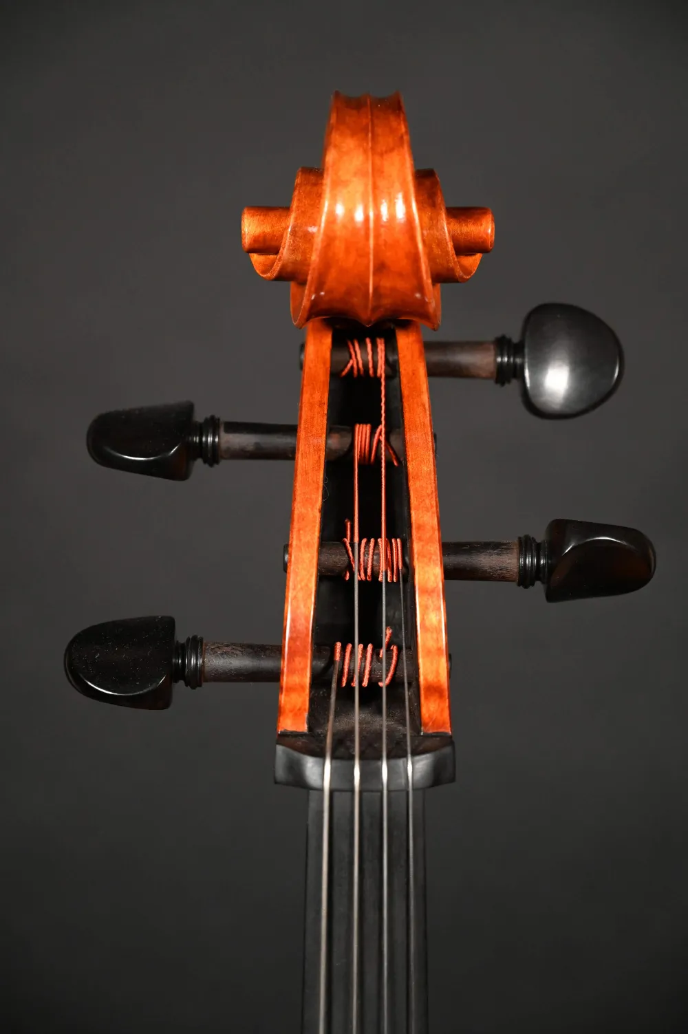 Schneckeansicht von vorne eines Simon Paul 4/4 Meister Cello (Violoncello) nach Stradivarius, Handarbeit 2020