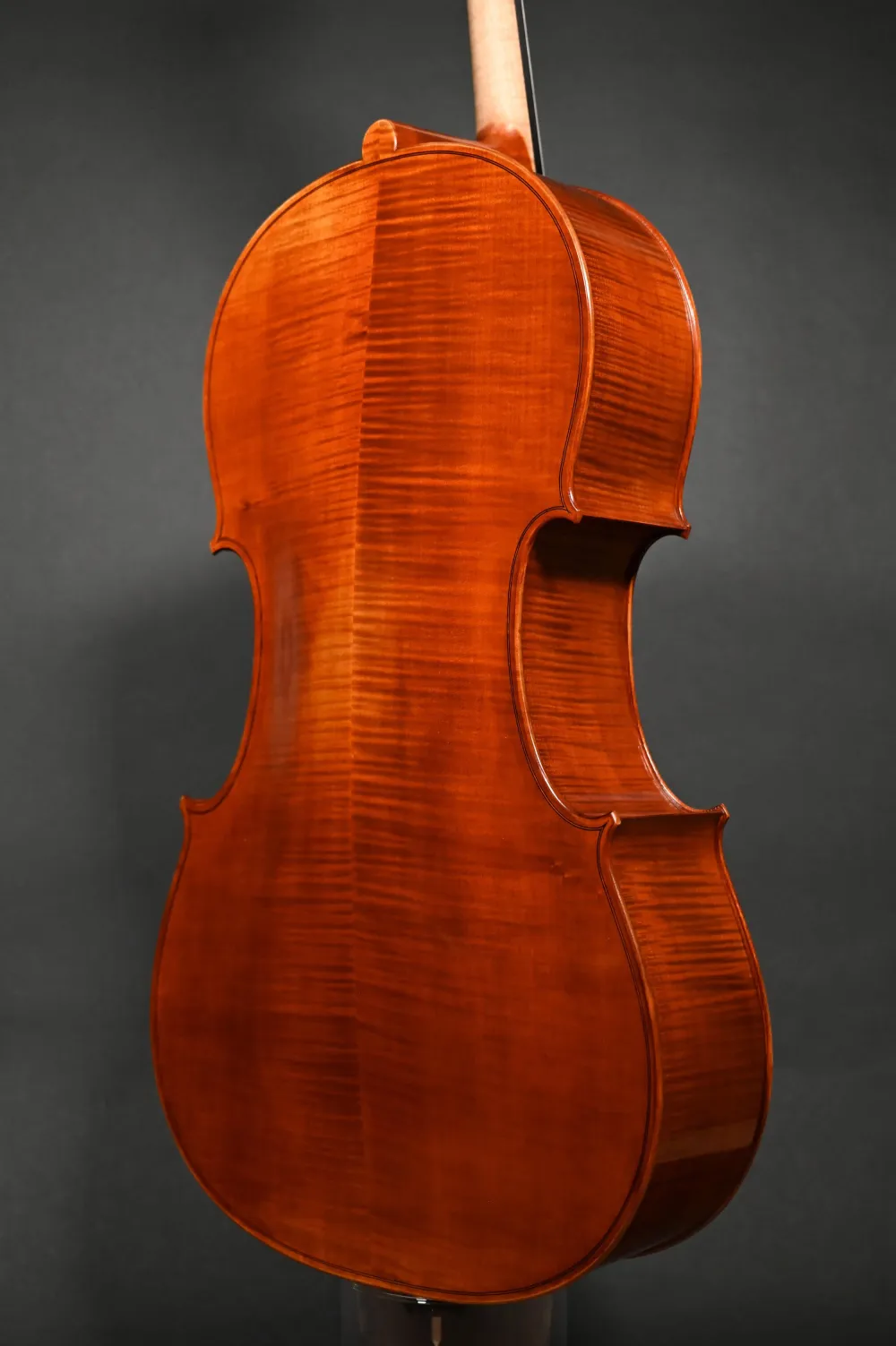 Boden- Zargenansicht eines Stoica Alin 7/8 Cello (Violoncello) Handarbeit aus Siebenbürgen 2023
