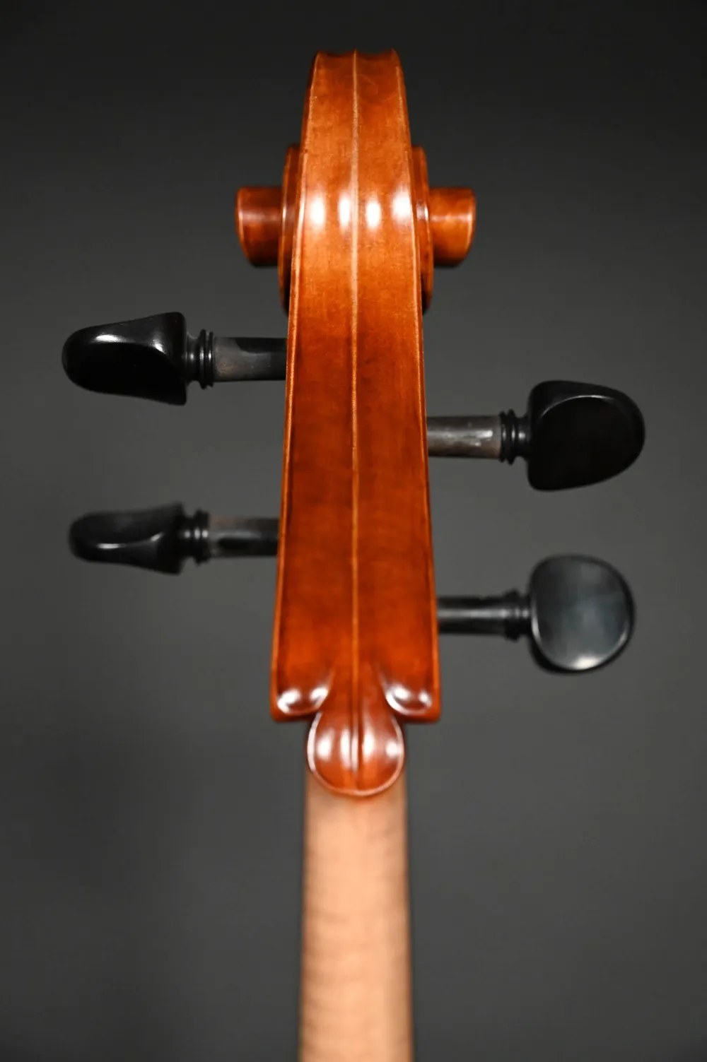 Schneckenansicht hinten eines Stoica Alin 7/8 Cello (Violoncello) Handarbeit aus Siebenbürgen 2023