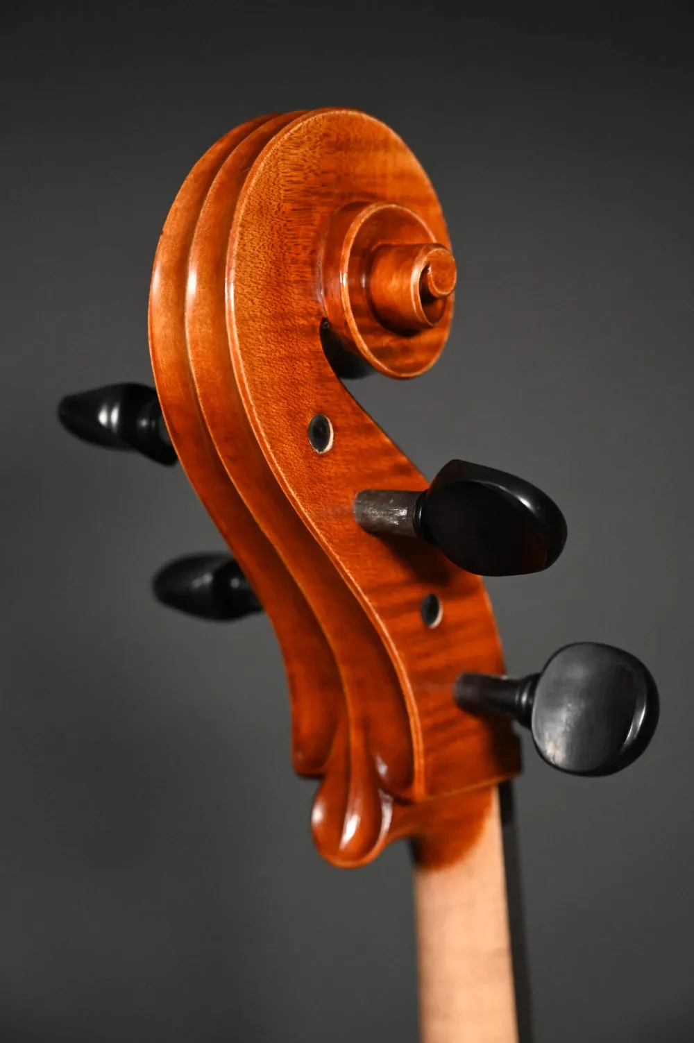 Schneckenansicht hinten seitlich eines Stoica Alin 7/8 Cello (Violoncello) Handarbeit aus Siebenbürgen 2023