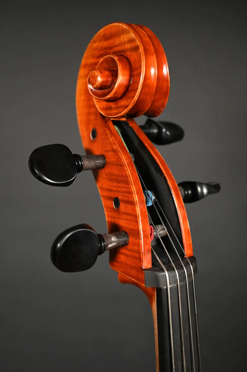Schneckenansicht vorne seitlich eines Stoica Alin 7/8 Cello (Violoncello) Handarbeit aus Siebenbürgen 2023