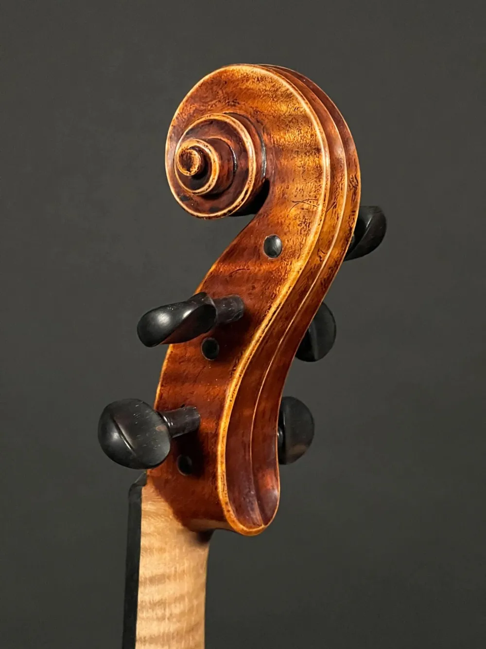 Schnecke-hinten-Seitlich-Detailansicht einer Simon Joseph 5Saiter 40,5 cm Konzert Viola (Bratsche) Handarbeit 2021
