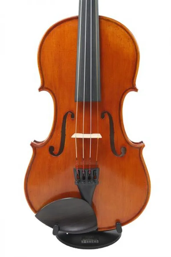 Stoica Alin 4/4 "Professional" Violin Geige Set mit Bogen, Etui, Schulterstütze und Koloph.