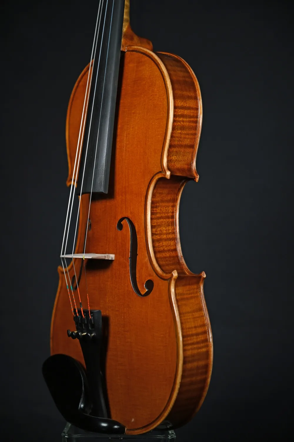 Reghino S.J. 4/4 "Professional" Violine, Handarbeit aus RO