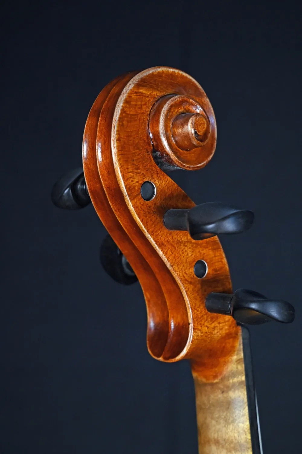 Reghino S.J. 4/4 "Professional" Violine, Handarbeit aus RO