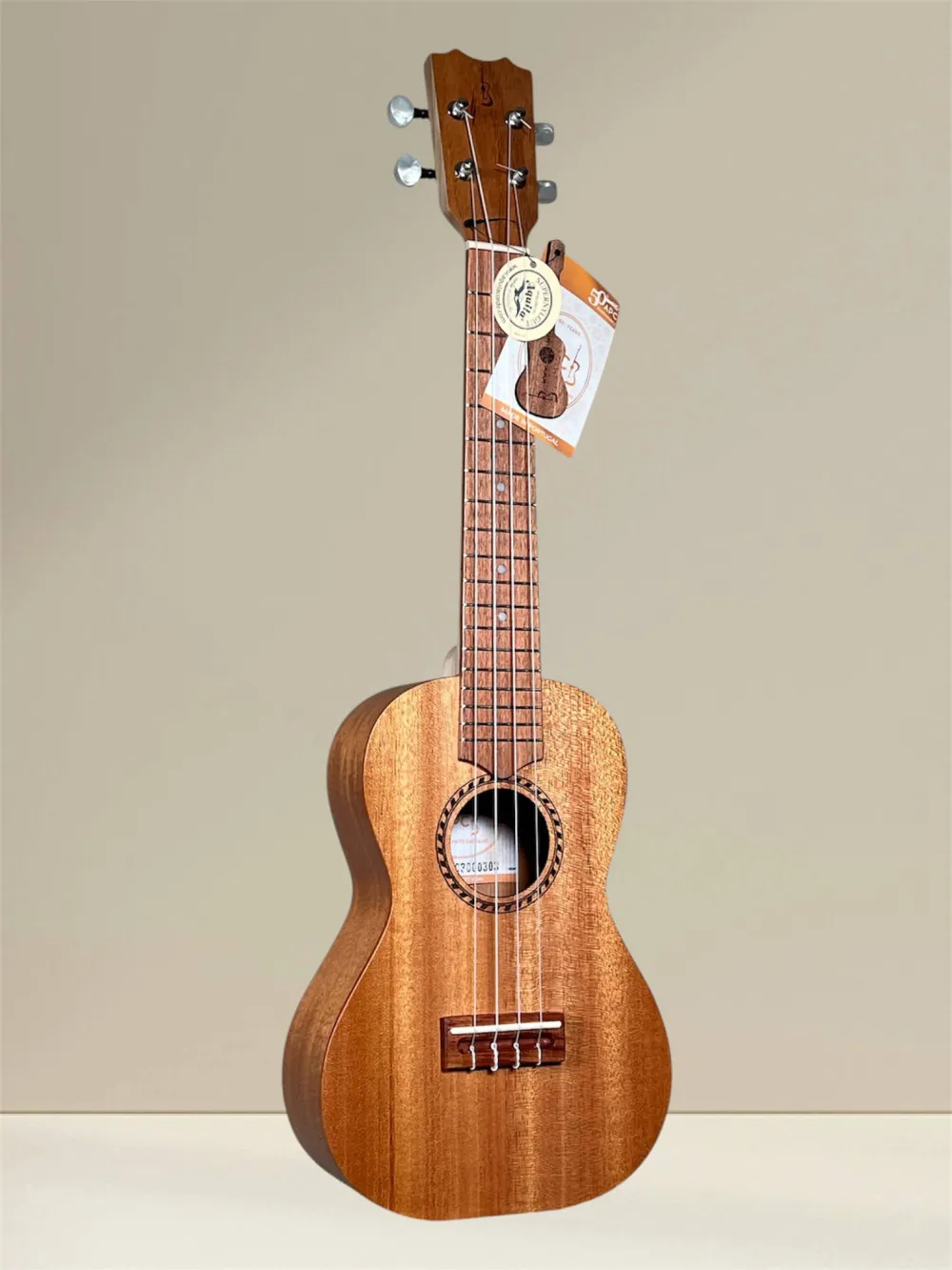 APC CL Simple Concert Ukulele aus massivem Mahagoni - Vorderansicht