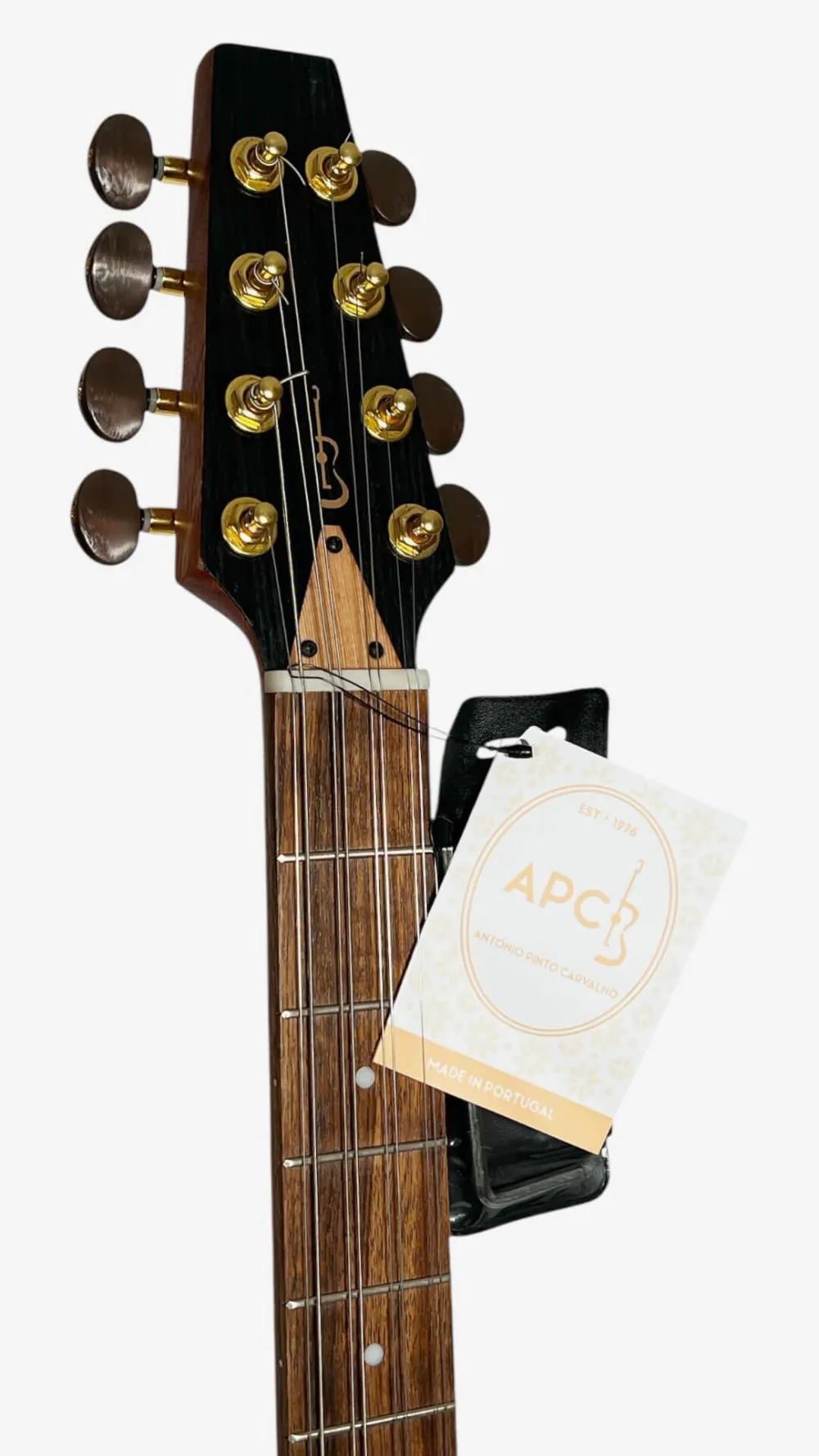 Kopfplatte vorne mit Logo der APC IRB305 Bouzouki