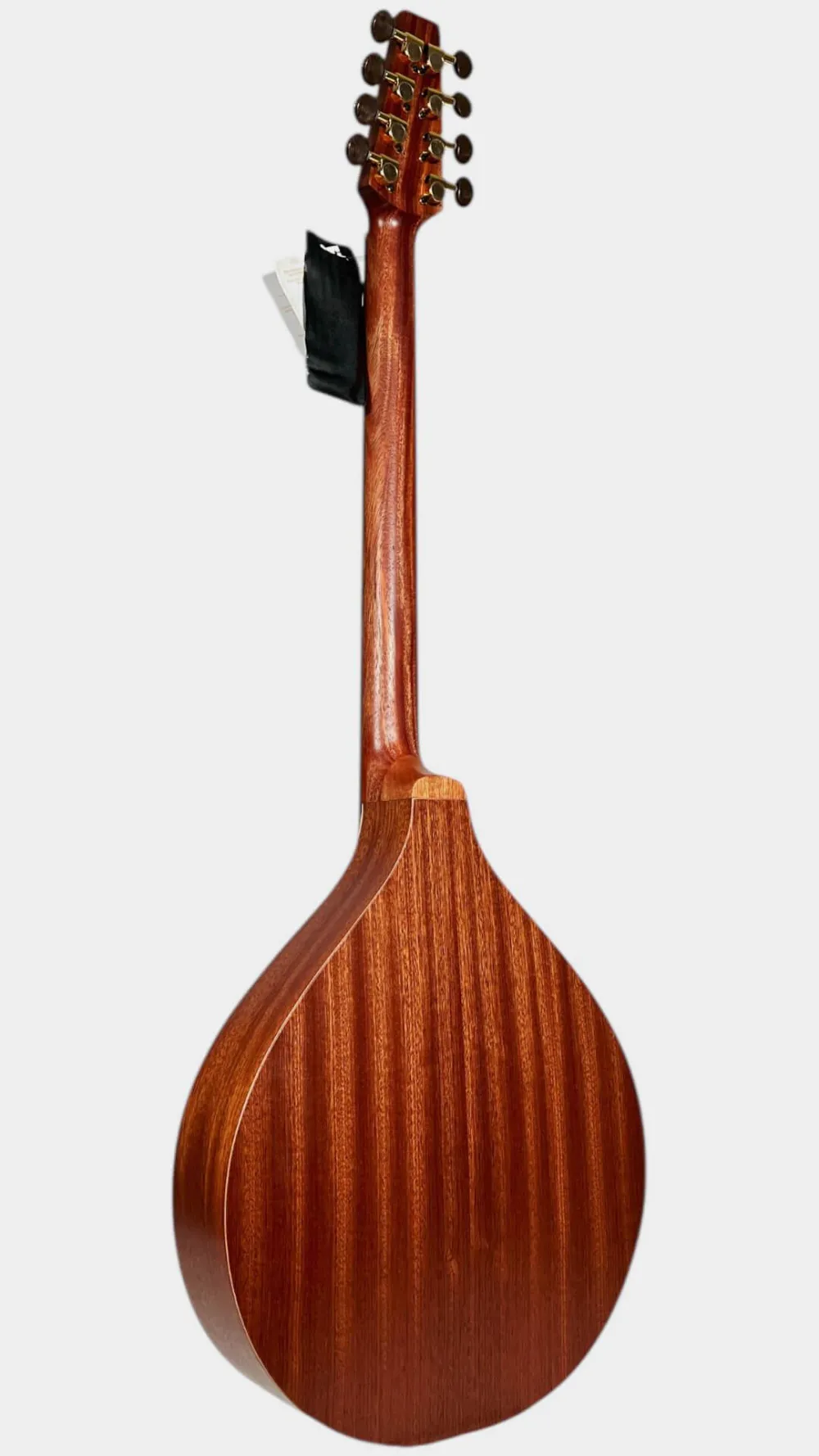APC IRB305 Irish Bouzouki – Rückseite der APC Bouzouki mit Sapelli-Holz