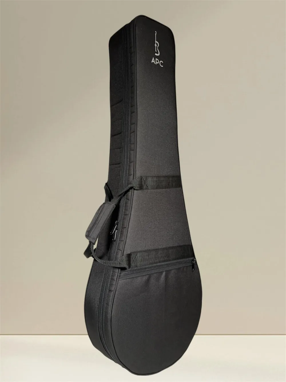 APC IRB312 Artist Irish Bouzouki – Massivholz, Fichte & Palisander, inkl. Koffer - Kofferansicht von vorne, seitlich