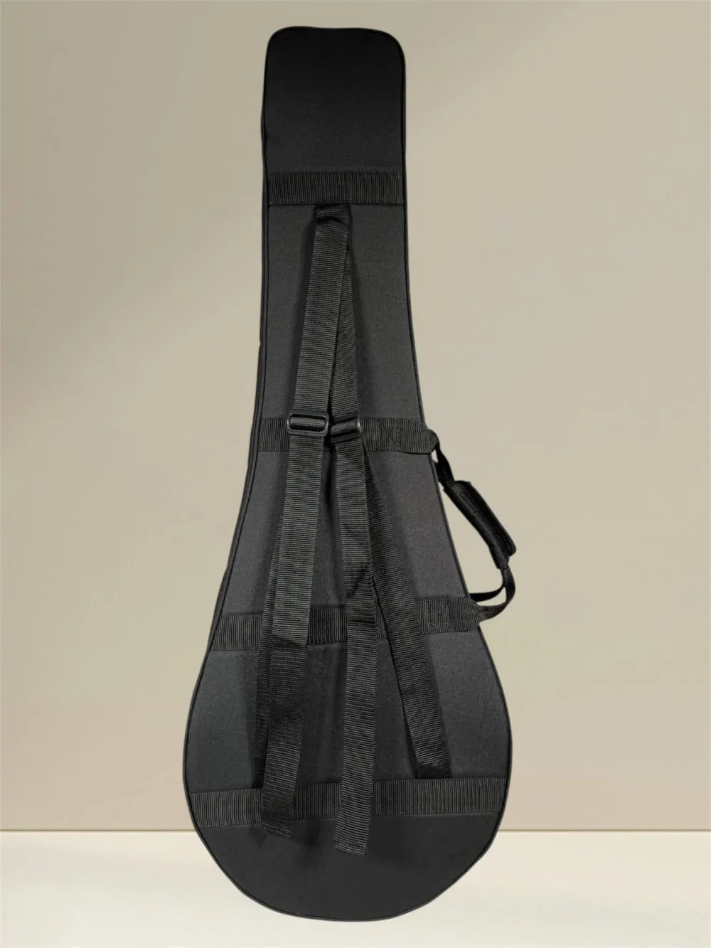 APC IRB312 Artist Irish Bouzouki – Massivholz, Fichte & Palisander, inkl. Koffer - Kofferansicht von hinten