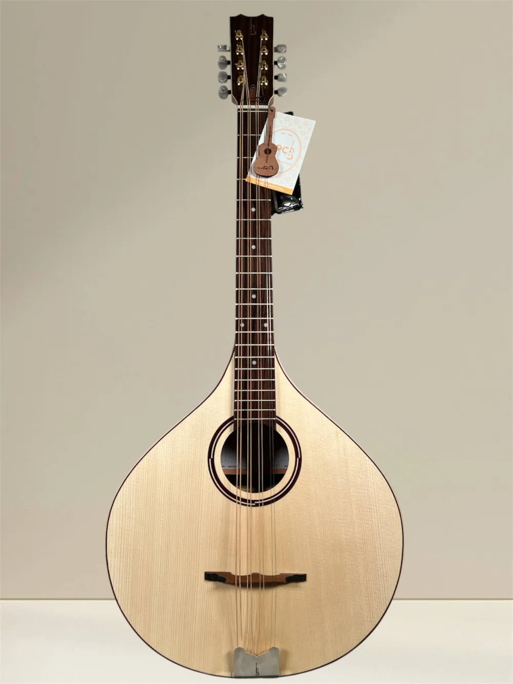 APC MOC312 Oktav-Mandoline – Vollmassiv aus Palisander und Fichte - Vorderansicht