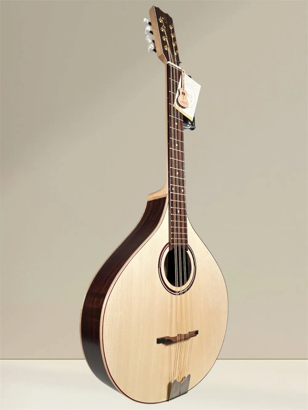 APC MOC312 Oktav-Mandoline – Vollmassiv aus Palisander und Fichte - Vorderansicht, seitlich