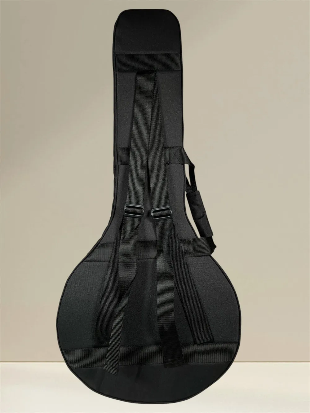 APC MOC312 Oktav-Mandoline – Vollmassiv aus Palisander und Fichte - Koffer von hinten
