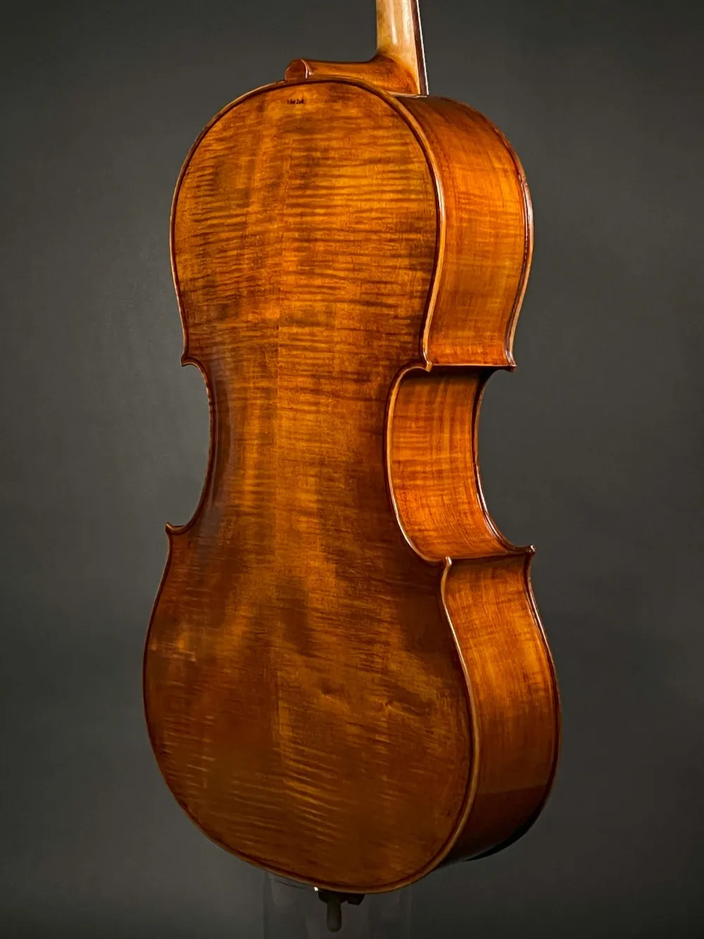Bodenansicht seitlich eines Orbán Zsolt 4-Saiter Barock Cello (Violoncello) Handarbeit aus Ungarn gebaut 2023