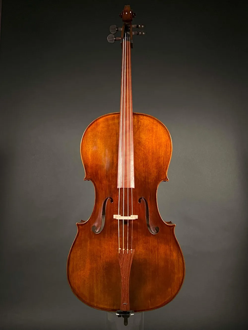 Frontansicht eines Orbán Zsolt 4-Saiter Barock Cello (Violoncello) Handarbeit aus Ungarn gebaut 2023