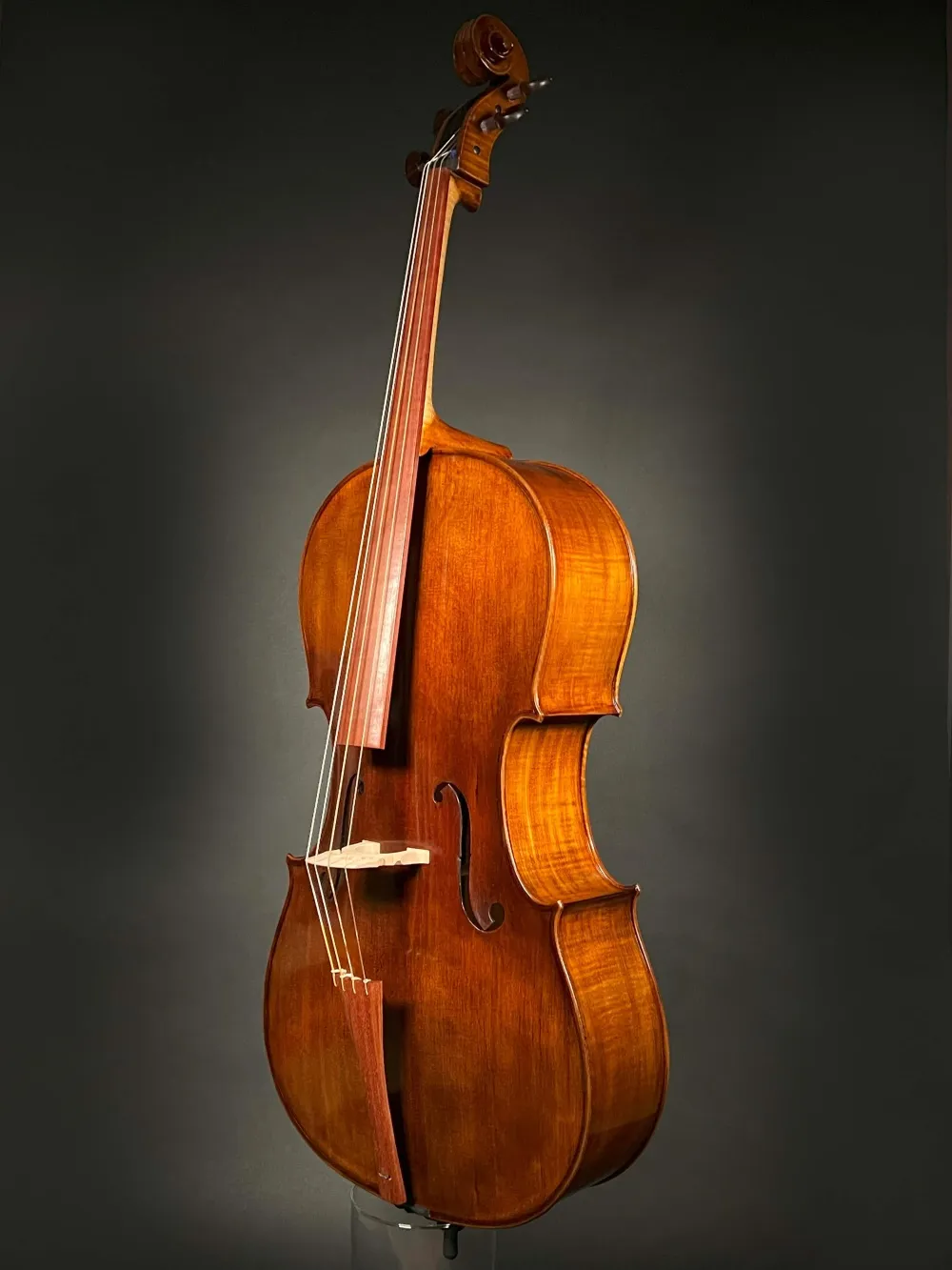 Frontansicht seitlich eines Orbán Zsolt 4-Saiter Barock Cello (Violoncello) Handarbeit aus Ungarn gebaut 2023