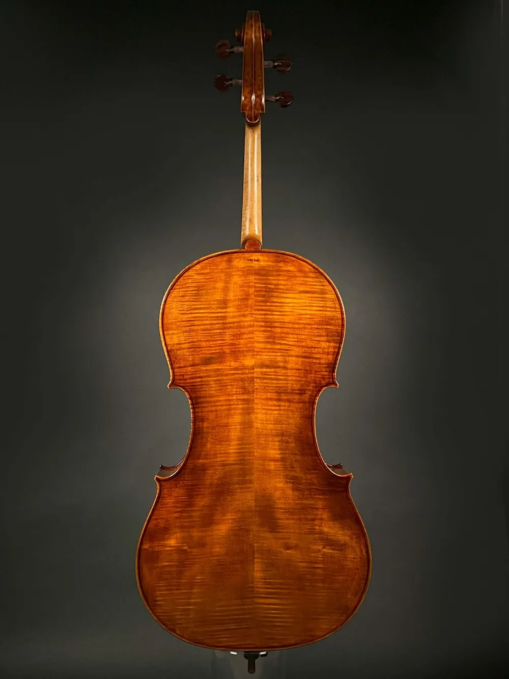 Rueckansicht eines Orbán Zsolt 4-Saiter Barock Cello (Violoncello) Handarbeit aus Ungarn gebaut 2023