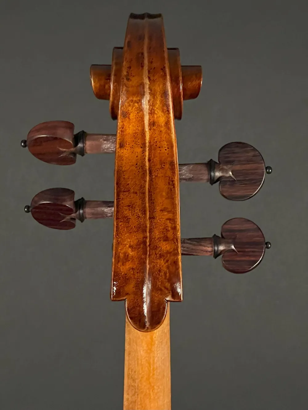 Schneckeansicht hinten eines Orbán Zsolt 4-Saiter Barock Cello (Violoncello) Handarbeit aus Ungarn gebaut 2023