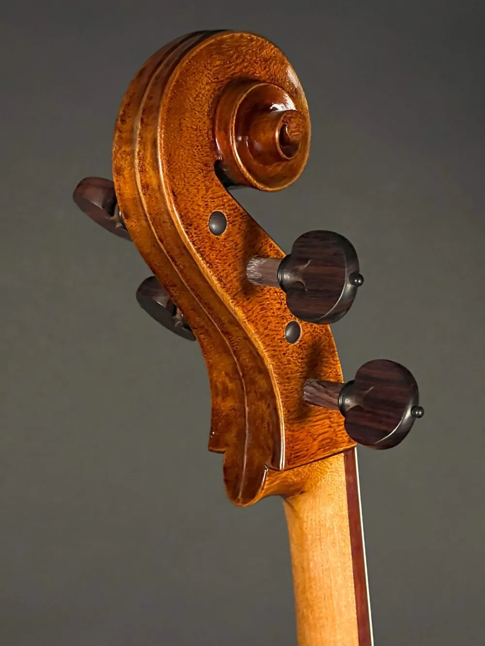 Schneckeansicht hinten seitlich eines Orbán Zsolt 4-Saiter Barock Cello (Violoncello) Handarbeit aus Ungarn gebaut 2023