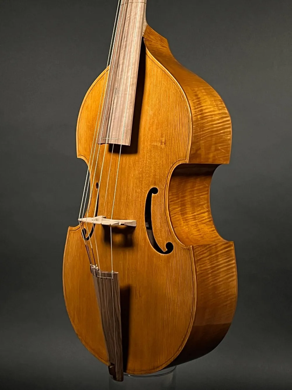 Decken-Zarge-Detailansicht einer Bivaj Art 6-Saitige Bass Viola da Gamba Handarbeit aus Siebenbürgen gebaut 2021