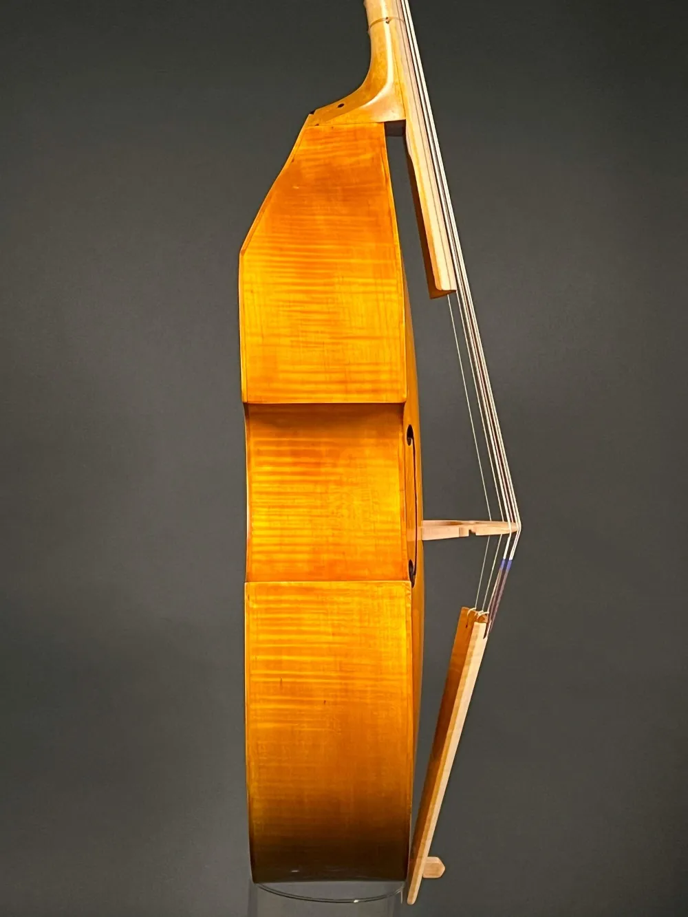 Zargenansicht rechts einer Bakos András 7-Saitige Bass Tenor Viola da Gamba Handarbeit aus Siebenbürgen gebaut 2023