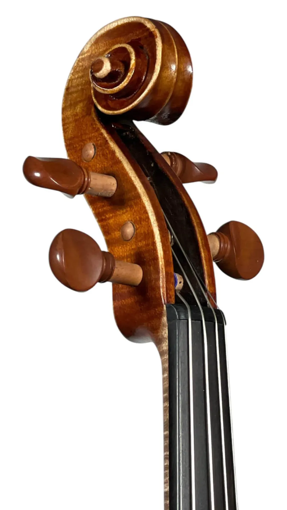 Detailaufnahme von vorne, seitlich der Schnecke der Simon Joseph 15\" Viola, feinste Handarbeit
