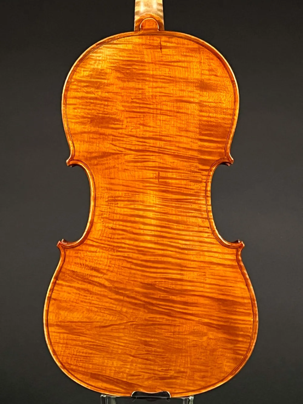 Boden-Detailansicht einer Simon Joseph Meister 39,5 cm 15,5\" Bratsche (Viola) Handarbeit 2020