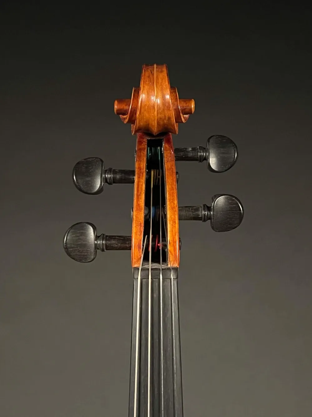 Schnecke-vorne-Detailansicht einer Simon Joseph Meister 39,5 cm 15,5\" Bratsche (Viola) Handarbeit 2020