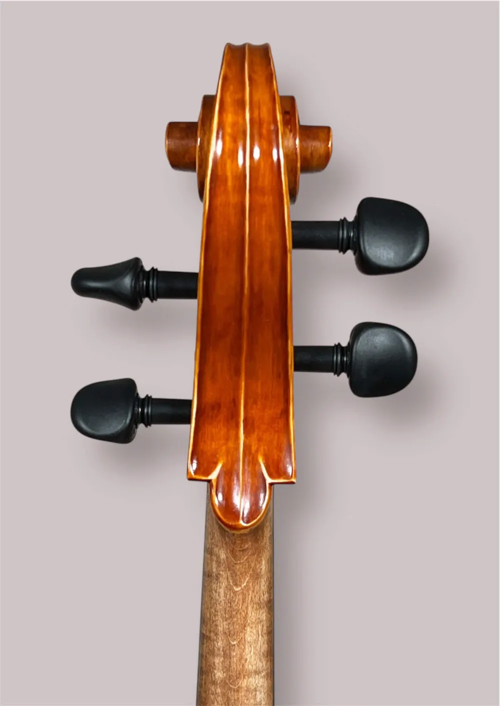 Bucur Ioan Professional 4/4 Linkshänder Cello 2025 (Nr. 2) – Schneckeansicht hinten
