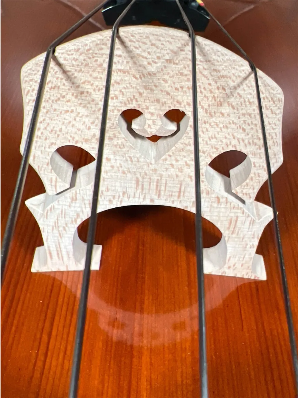 Bucur Ioan Professional 4/4 Linkshänder Cello 2025 (Nr. 2) – Stegansicht