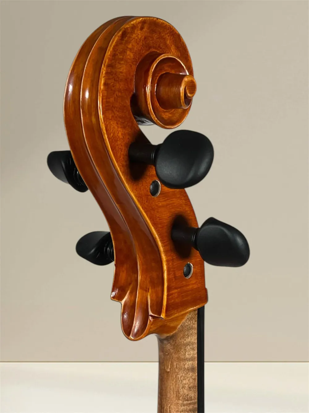 Bucur Ioan linkshänder 4/4 Cello (Violoncello) Stradivarius Modell, Schneckenansicht-hinten-seitlich Bucur Ioan linkshänder 4/4 Cello (Violoncello) Stradivarius Modell, Schneckenansicht-hinten-seitlich