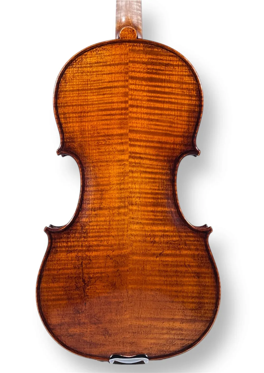 Professional Violine Butiu Cornel Stradivari Modell 2024 -Bodenansicht