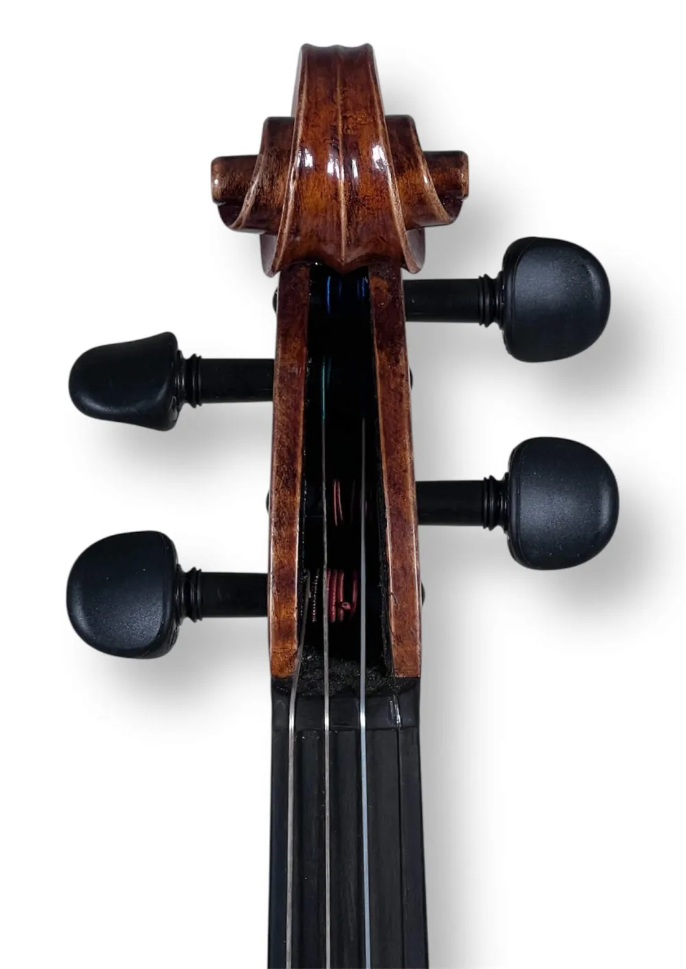 Professional Violine Butiu Cornel Stradivari Modell 2024 -Schneckeansicht von vorne