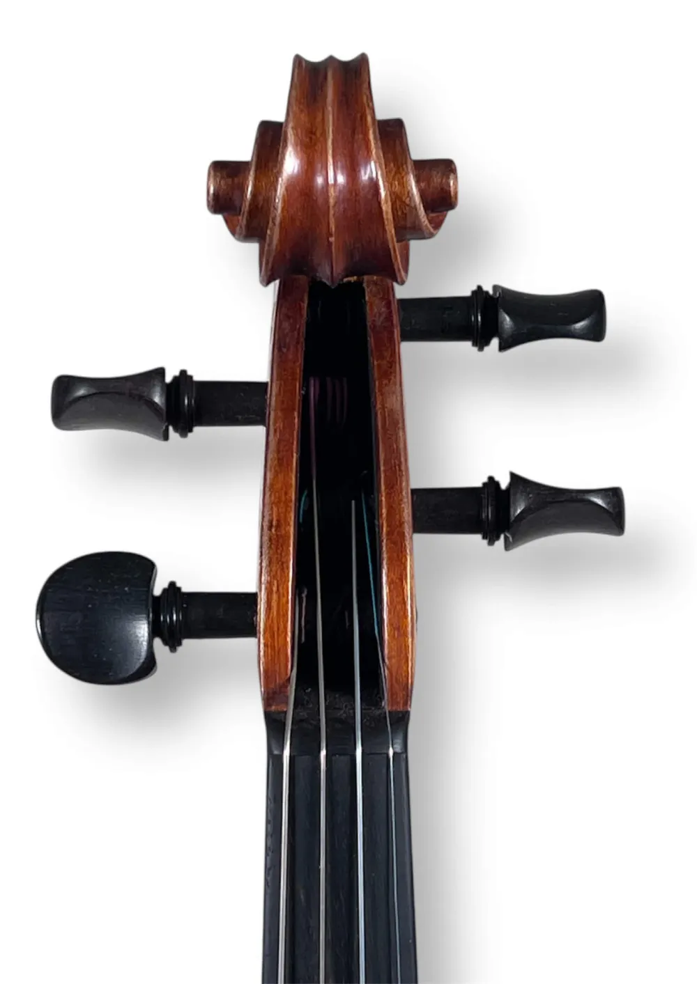 2024 Handgefertigte Violine Geige von Butiu Cornel nach Stradivarius Modell - Schneckeansicht vorne