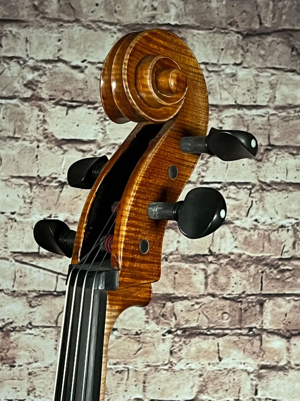 Schnecke-vorne-seitlich-Detailansicht einer Simon Joseph Amati Cello (Violoncello) Handarbeit 2019
