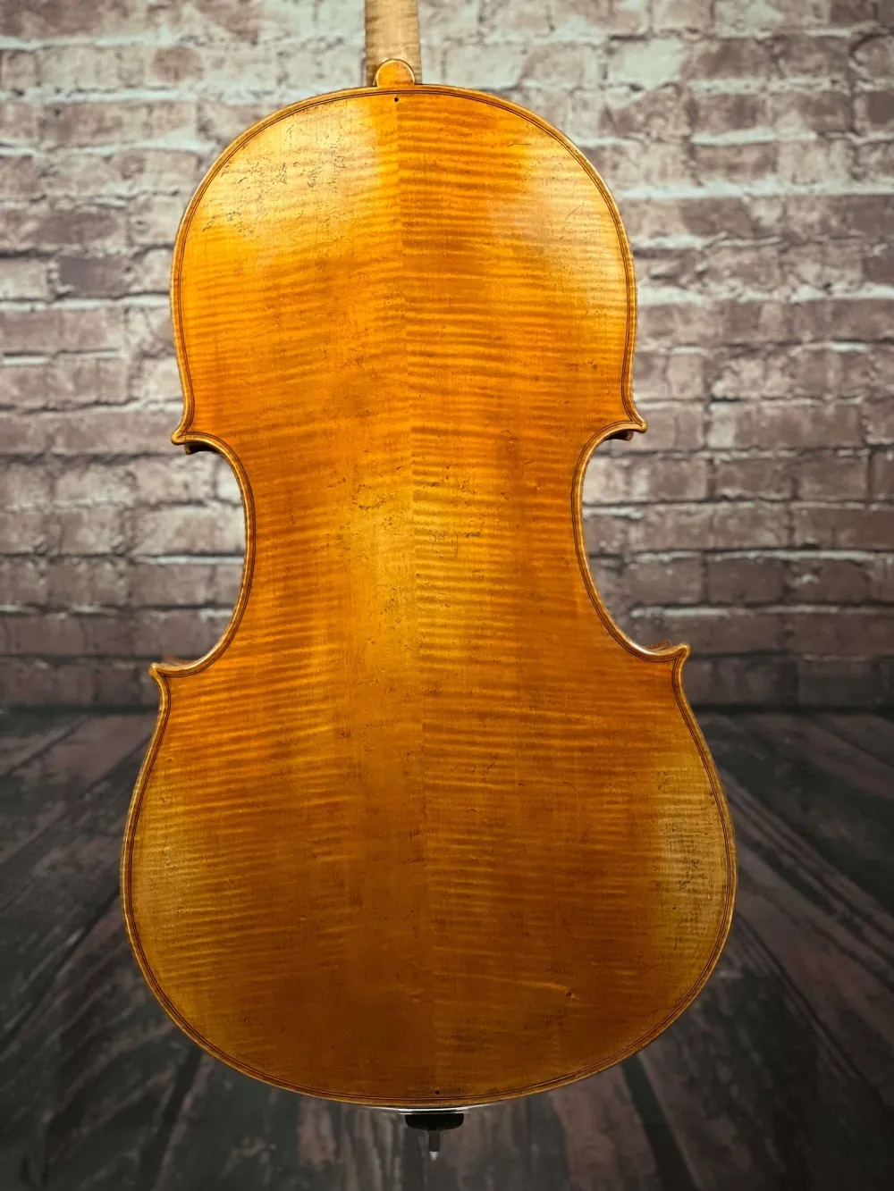 Boden-Detailansicht einer Simon Joseph Goffriller Cello (Violoncello) Handarbeit 2019