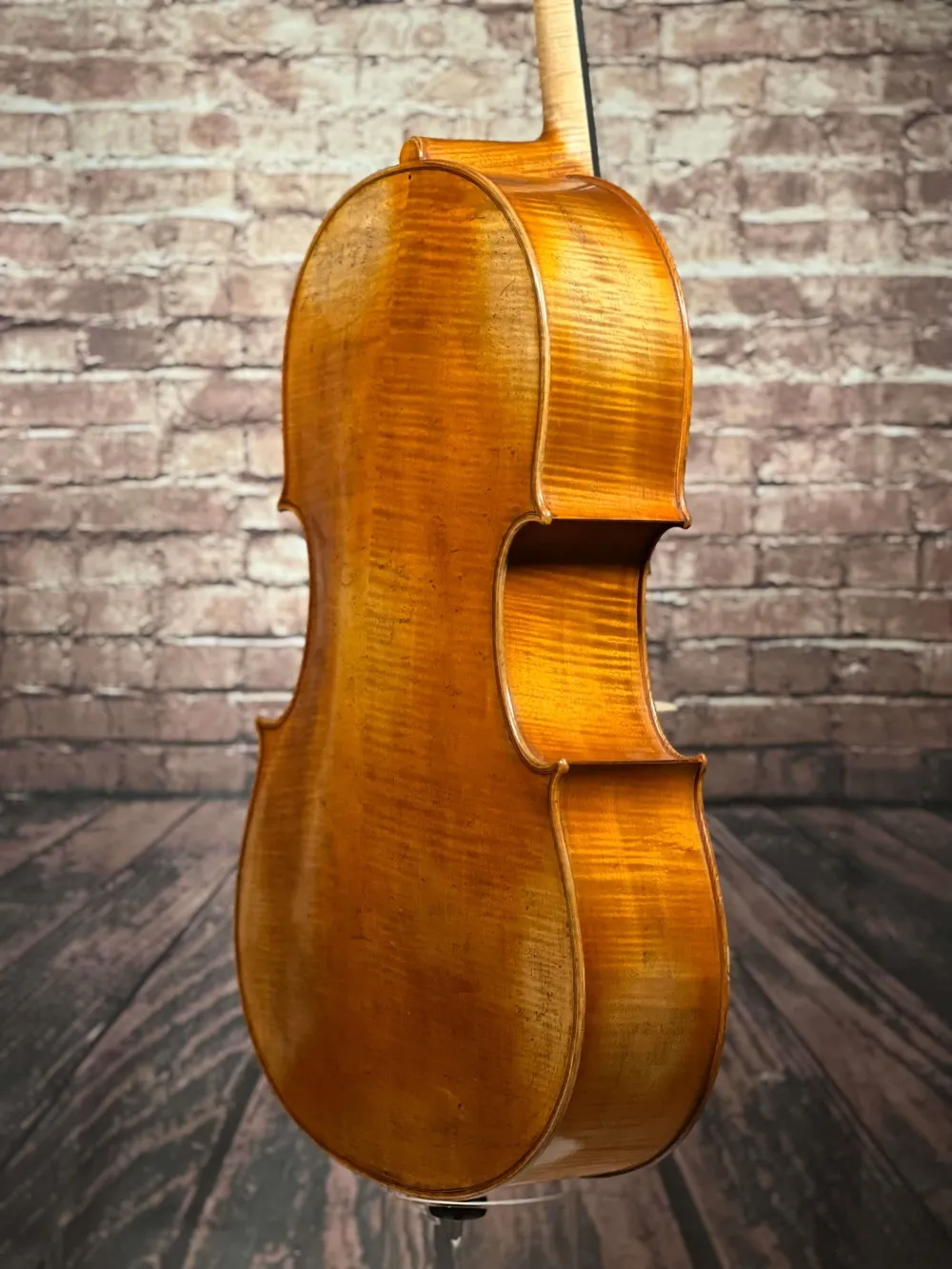 Boden-Zarge-Detailansicht einer Simon Joseph Goffriller Cello (Violoncello) Handarbeit 2019