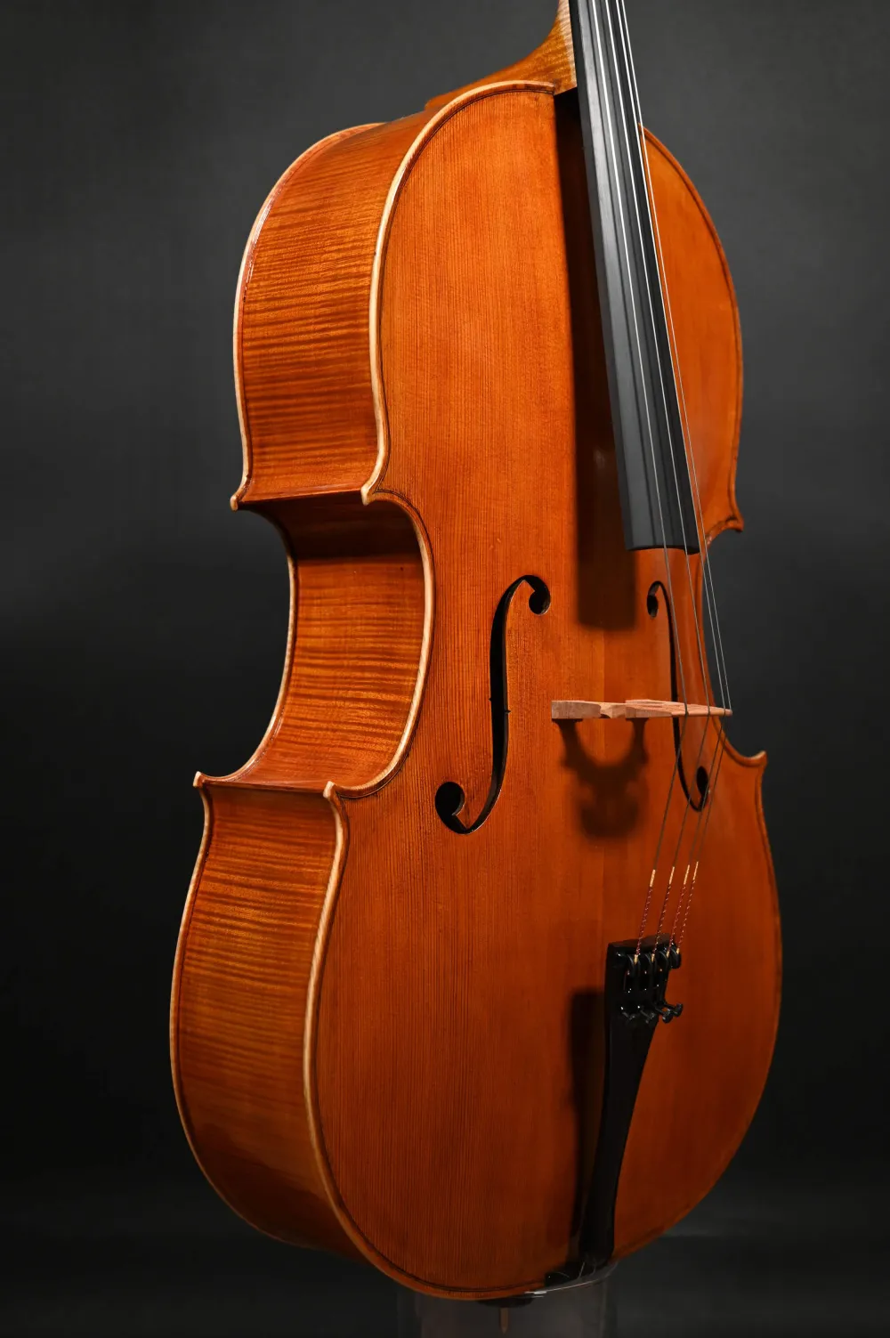 Simon Joseph 4/4 Meister Cello nach Modell nach Matteo Goffriller gebaut 2023_Decken-Zargenansicht