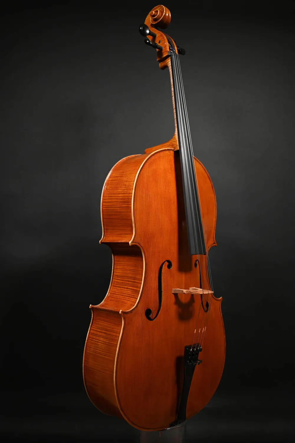 Simon Joseph 4/4 Meister Cello nach Modell nach Matteo Goffriller gebaut 2023_Front-Seitenansicht