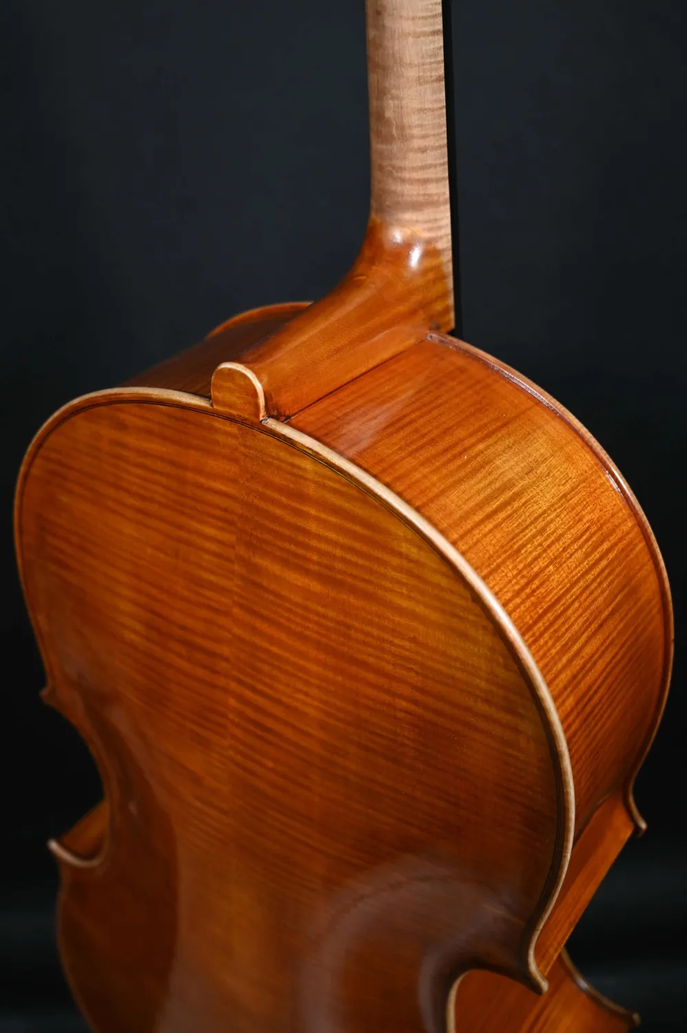 Simon Joseph 4/4 Meister Cello nach Modell nach Matteo Goffriller gebaut 2023_Halsansatzansicht