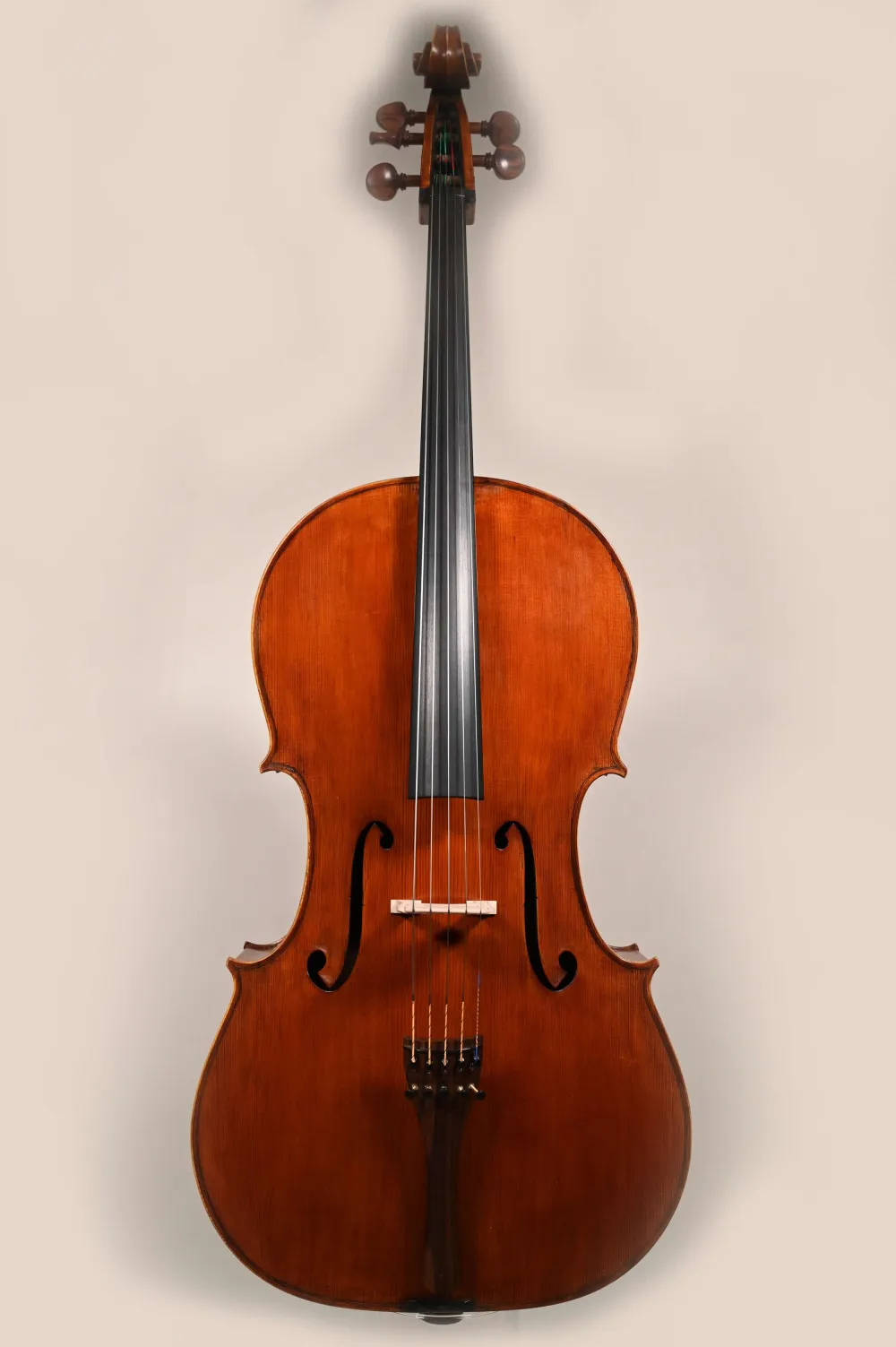 Simon Joseph 4/4 Meister Cello, Guarnerius 5Saiter Modell gebaut 2023_Frontansicht
